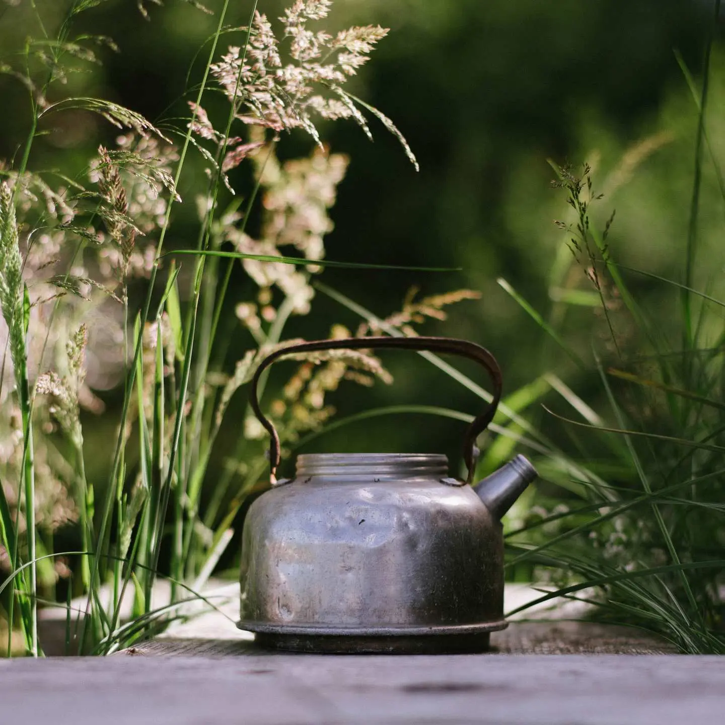 The Shieling Blog - Read more about our 'why'