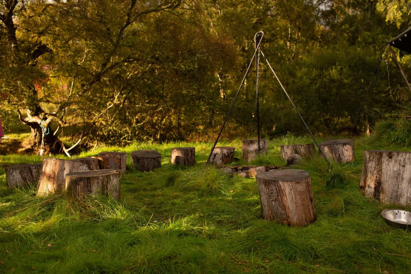 Outdoor Gathering Area